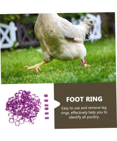 BUGUUYO 100pcs Chicken Leg Ring Chicken Thigh Poultry Identification Ring Chicken Drumsticks Plastic Purple - Buy Online on GoSupps.com