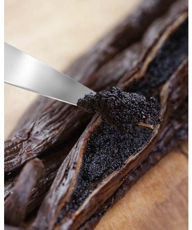 Premium Madagascar Vanilla Beans Grade A - Pack of 10 Whole Bean Sticks for Baking, Ice Cream & Extract - 5-6 Long Pods - 10 Count - Buy Online on GoSupps.com