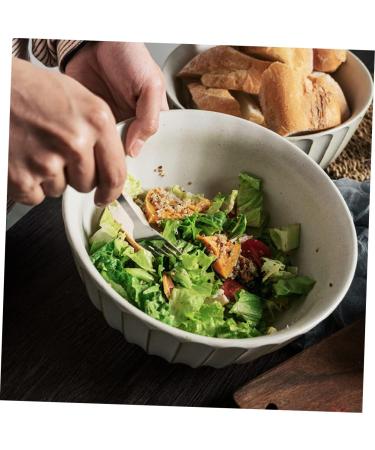 Zerodeko 1pc Ramen Bowl Decor Noodles Flatware Fruit Bowl Bowls Kitchen Supplies Japanese-Style Japanese Bowl 20X6.3CM As Shown - Buy Online on GoSupps.com