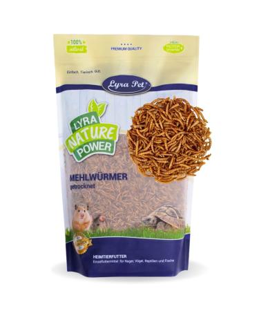 Lyra PET |2 kg mealworms |Ideal for rodents |Gently dried |Proteinative food for hamsters rats & racing mice |Rich in vitamins & minerals |Natural energy dispenser