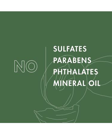 SheaMoisture Full Beard Detangler with Maracuja Oil and Shea Butter - 4 oz - Buy Online on GoSupps.com