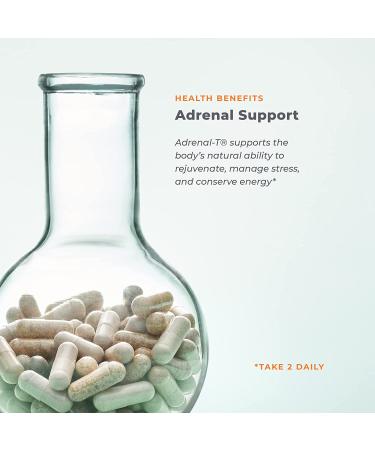Adrenal-T Adrenal Support - LifeSeasons 60 Vegetarian Capsules for Energy & Wellness - Buy Online on GoSupps.com