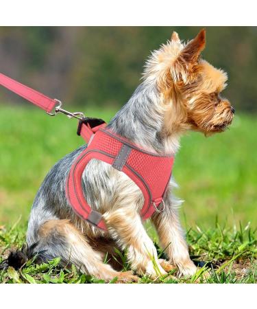 Joyal Dog Harness for Small Dogs - Reflective Soft Padded Air-Mesh Breast Dishes for Puppies | Pink S (38-42cm) - Buy Online on GoSupps.com