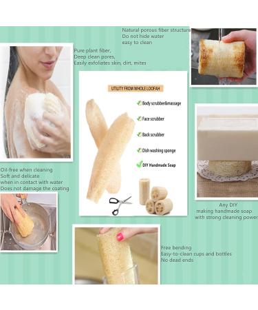 Large All Natural Loofah Sponge for Exfoliating Body Scrub - 100% Biodegradable and Reusable - Ideal for Kids, Men, Women, and Dishes - Organic Loofah for Soap Making - Buy Online on GoSupps.com