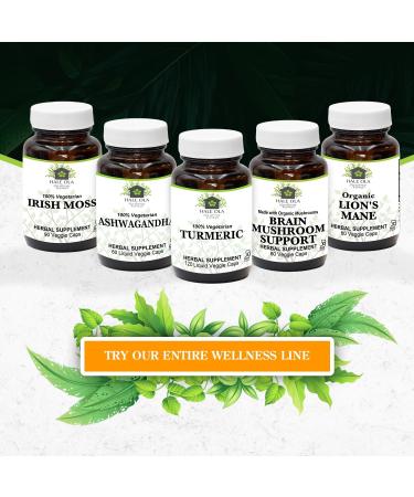 Turmeric Curcumin Supplement |120 Liquid Capsules - Ultra High Absorption Potent Turmeric Curcumin Supplement with 95% Curcumin Extract - Non GMO Tumeric Capsules for Joint Support Extra Strength - Buy Online on GoSupps.com