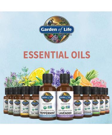 Buy Garden of Life Geranium Essential Oil 0.5 fl oz - 100% Organic Pure & Undiluted for Aromatherapy & Relaxation - Buy Online on GoSupps.com