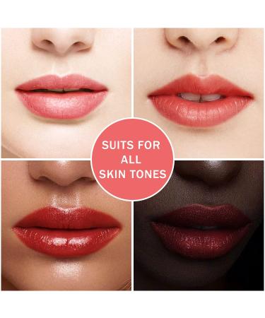4 Pcs Fruit Lip Stain Set - Vivid Watery Lip Tint Gloss - Plump Velvet Lip Stain - Matte Liquid Lipstick - Long Lasting & Waterproof (4 Colors) - Buy Online on GoSupps.com