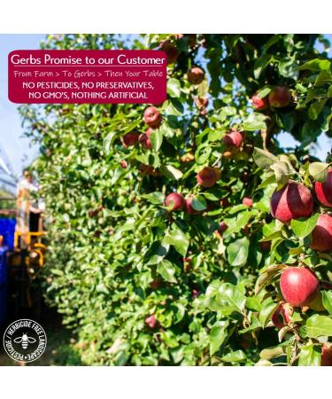 GERBS Dried New England Apple Slices 16oz - No Sugar Added, Unsulfured, Allergy-Free Snack - Buy Online on GoSupps.com