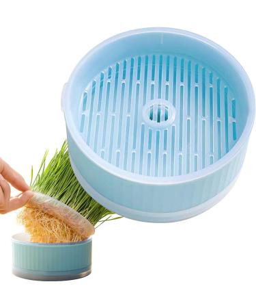 Lambo Grass Box for Cats | Hydroponic Cat Grass & Cat Mint Planters | Removable Earth-Free Plant Box for Pets | Supports Digestion - Buy Online on GoSupps.com