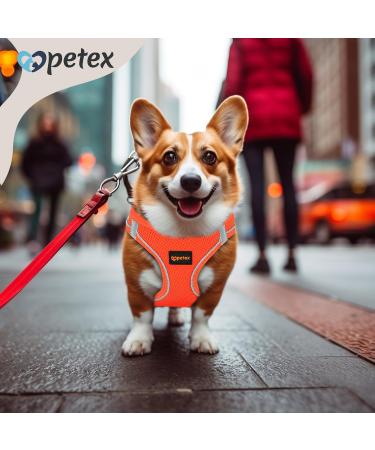 Petex Dog Harness for Small & Medium Dogs - TUV Tested Air Mesh Reflective & Breathable - Neon Orange XS - Made in Europe - Buy Online on GoSupps.com