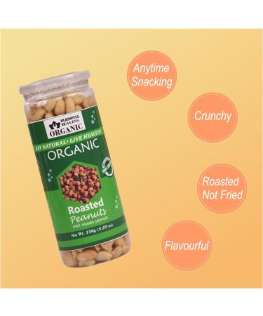 Blessfull Healing Organic Natural Vegan Mint Masala Roasted Peanuts Crunchy Healthy Snacks 150 Gram - Buy Online on GoSupps.com