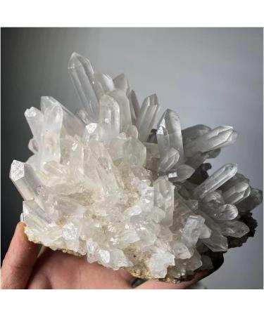 Crystal Rough 1pc Natural Rare White Quartz Crystal Cluster Specimen Decoration (Size : 450-500g) - Buy Online on GoSupps.com