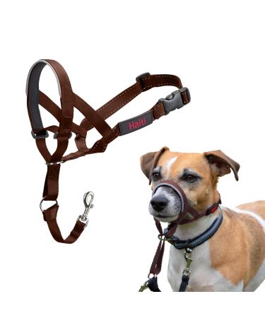 HALTI head harness-prevents your dog from pulling on the leash simple adjustment light with padded nose strap anti-train neck band for small dogs (size 1 walnut brown) walnut brown 1