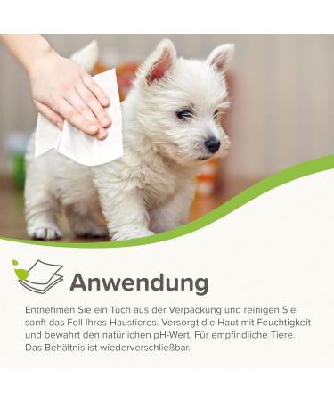 Beaphar Sensitive Wipes for Dogs & Cats - 30 Pieces | Gentle Pet Care for Allergies & Sensitive Skin - Buy Online on GoSupps.com