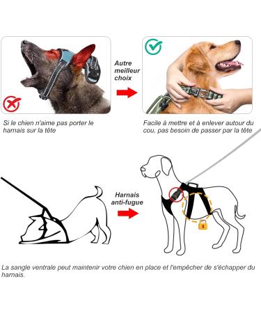 Heele Reflective Dog Dishes & Harness | Breakout Buckle Robust Handle Panic Crockery - Perfect Fit in Green - Buy Online on GoSupps.com