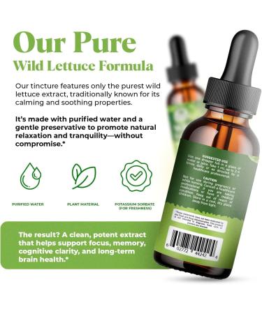 Amazing Botanicals Alcohol Free Wild Lettuce 10X Extract Tincture 30 000 mg | Bulk Size | - (4 FL Oz) Wild Lettuce 4 Fl Oz (Pack of 1) - Buy Online on GoSupps.com
