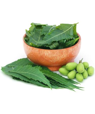 Organic Neem Powder 8 oz - Pure India Neem Powder for Hair, Skin & Teeth | Azadirachta Indica - Buy Online on GoSupps.com