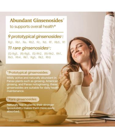 HUJ Panax Ginseng Plus - Ginsenoside Supplement - Contains Panax Ginseng Panax Notoginseng & American Ginseng - Supports Energy Levels Immune Function & Overall Health* - 60 Capsules - Buy Online on GoSupps.com