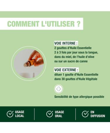 PRANAROM therisches l Lavande vraie 10 ml Hochwertiges Lavendel l f r Entspannung & Aromatherapie | Internationaler Versand - Buy Online on GoSupps.com