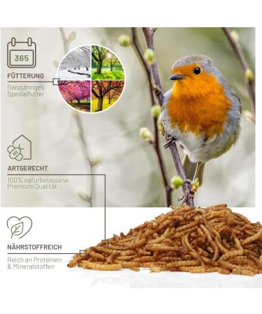 Buy Wild Animal Love Noble Mealworms 5L | Dried Mealworms for Birds & Hedgehogs | Premium Insect Food for Garden Birds - Buy Online on GoSupps.com