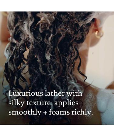 Living Proof Full Shampoo 236ml Volume & densit pour cheveux fins Avec complexe d acides amin s & protection de la couleur Doux sans sulfate & pour usage quotidien 236 ml (Lot de 1) - Buy Online on GoSupps.com