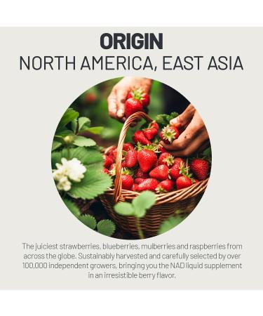 NAD Supplement 1000mg with Resveratrol Pure Organic Liquid Packets - Nicotinamide Riboside Supplements with PQQ - Liposomal NAD+ Berry Flavor Drink - Cellular Energy & Anti-Aging Support 30 Packs - Buy Online on GoSupps.com