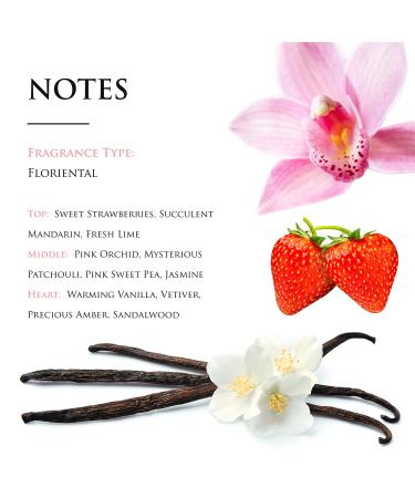 Michel Germain Sexual Noir Eau de Parfum Fragrance Spray Top Notes of Strawberries Mandarin and Lime Long-Lasting Warm Floral & Sensual Gift for Her 2.5 Fl Oz (Pack of 1) - Buy Online on GoSupps.com