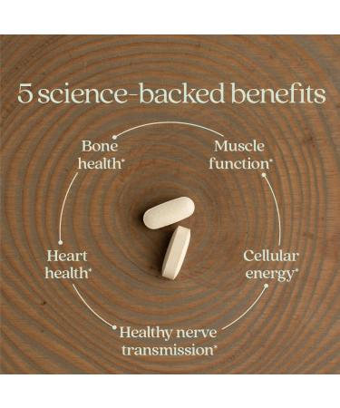 New Chapter Magnesium Complex Supplement 325mg with Magnesium Glycinate + Sea-Sourced + Fermented Forms for Heart Bone Nerve Muscle & Cellular Energy 100% Vegan 60 Tablets 60 Count (Pack of 1) - Buy Online on GoSupps.com