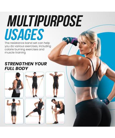 Resistance Bands Weight Building Kit - 150 lbs - 12 Elastic Bands for Yoga, Calisthenics, Gym - Elastic Muscle Bands with Anklets and Door Grip - Buy Online on GoSupps.com