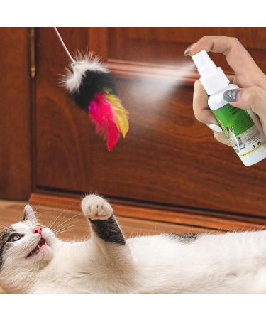 Cat Catnip Spray - Natural 50ml Catnip Spray - Cat Accessories for Indoor Cats Cat Catnip for Indoor/Outdoor Use for Training Redirecting Behaviors Frifer - Buy Online on GoSupps.com