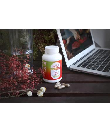 Eclectic Institute Raw Freeze-Dried Non-GMO Milk Thistle 120 CT - Liver Support with Silymarin for Detox & Cleanse - Buy Online on GoSupps.com