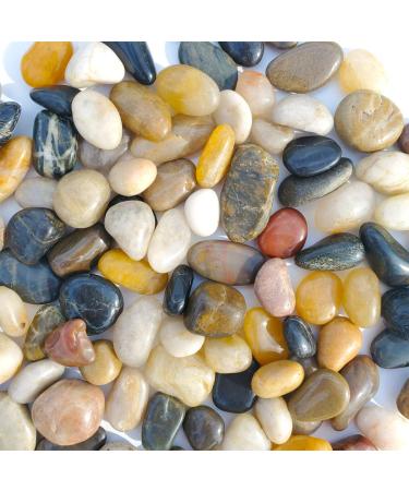 SACKORANGE 2 LB Aquarium Gravel River Rock - Natural Polished Decorative Gravel, Small Decorative Pebbles, Mixed Color Stones,for Aquariums, Landscaping, Vase Fillers (32-Oz)