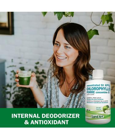 Liquid Chlorophyll Apple 5X Concentrated 500ml Cold Extracted from Non-GMO Alfalfa - Detox - Alkaline - Natural Body Deodorant Antioxidant - Made in Canada - Buy Online on GoSupps.com
