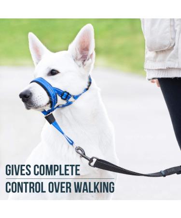 Goodboy Dog Halver - No Pull Leash Control for Small Medium & Large Dogs | Size 3 Blue Nylon with Black Padding | Comfortable Training Solution - Buy Online on GoSupps.com