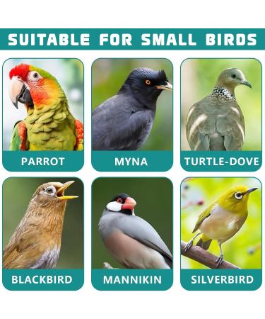 Youngsay 4-Piece Sepia Shell Bracket Set | Portable Plastic Bowls for Birds | Ideal for Serving Fruits & Vegetables (Green) - Buy Online on GoSupps.com