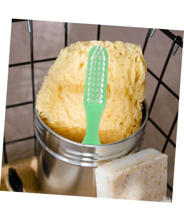 Lurrose 30 STK Travel Toothbrush Soft Bristle Mini Tooth Cleaning Brush for Prisons & Accessories | Green 1 Pack - Buy Online on GoSupps.com