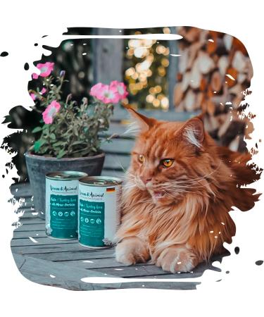 Venandi Animal - Premium Grain-Free Turkey Cat Food | Monoprotein Wet Food Pack of 6 (6 x 400g) - Natural & Healthy - Buy Online on GoSupps.com