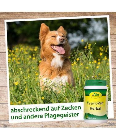 CDVet Insectovet Herbal 100g - Natural Nutritional Supplement for Dogs | Boost Skin Health with Vitamins & Minerals - Buy Online on GoSupps.com