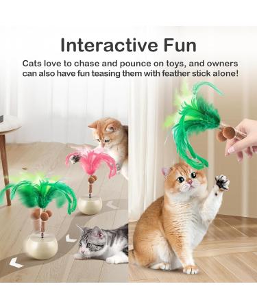 Migipaws Interactive Cat Toy Feather Spin with Electric Rolling Tumbler for Indoor Cats Automatic Cat Teaser Rechargeable - Buy Online on GoSupps.com