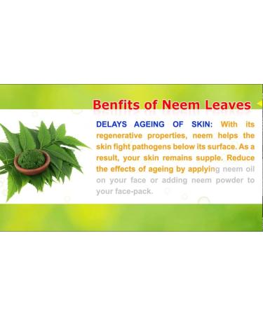 Neem Leaves powder 100% Natural and pure (AZADIRACHTA INDICA) (100 Grams) (0.22 lb)/3.5 Ounces) (Only For External Use) - Buy Online on GoSupps.com