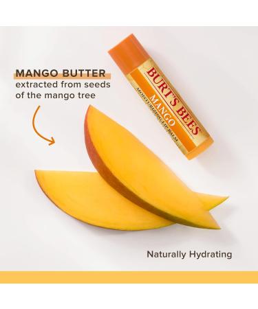 Burts Bees Mango Moisturizing Lip Balm 0.15 oz | Unisex Lip Care | International Shipping Available - Buy Online on GoSupps.com