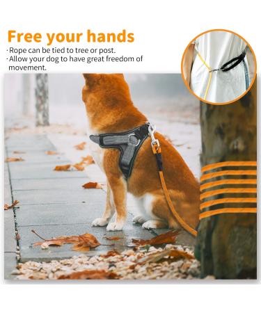 Dog Training Lead Long 15m / 50FT Dog Line Extra Long Heave Duty Reflective Dog Leash for Small Medium Large Dogs Tracking Recall Training Outdoor L: 15m / 50ft Orange - Buy Online on GoSupps.com