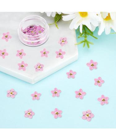 Timtin 100 Pcs Natural Forget Me Dried Flowers for DIY Jewelry, Candle, and Card Making - Real Pressed Flowers for Resin Ornaments and Nail Art Decorations (Pink) - Buy Online on GoSupps.com