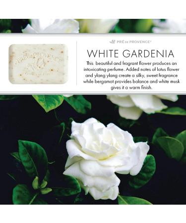 Pre de Provence White Gardenia Soap Bar 8.8 oz - Organic Shea Butter, French Skincare, Quad Milled for a Smooth Lather - Buy Online on GoSupps.com