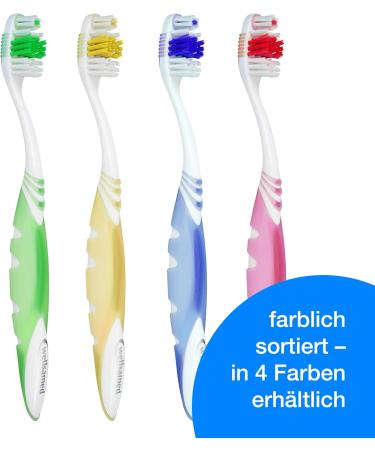 Wellsamed Value Pack - 12 CleanX Manual Toothbrushes for Superior Oral Care | Shop Internationally - Buy Online on GoSupps.com