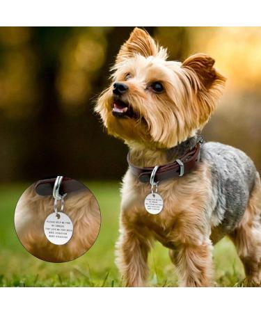 Paul Clover Deep Engraving Personalised Dog Tag ID Name Tags for Cat Puppy Pet Collar Tag Dog Collar Tag Dog Cat Pet ID Tag Pet Owner Gift (Bone Black - L) (Bone Stainless Steel Silver Small) Small Bone Stainless Steel Silver - Buy Online on GoSupps.com