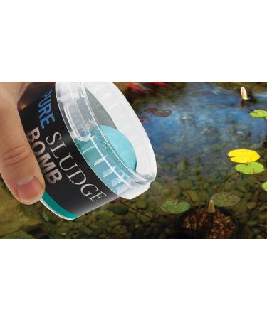 Evolution Aqua Pure Sludge Bomb Pond Sludge Remover Natural Sludge Buster for Pond Clear Water Treatment Bacteria Balls Cleaner Pond Bomb for Fish Ponds | 1 Gel Ball Treats 20 000 litres - Buy Online on GoSupps.com