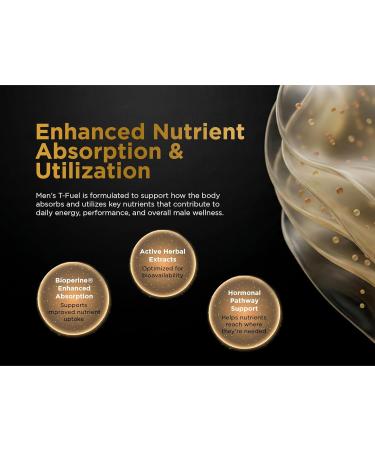 Nutri Apex Men s Daily Vitality & Wellness Support | Herbal Blend with Epimedium Fenugreek Tribulus & Panax Ginseng | 60 Veggie Capsules - Buy Online on GoSupps.com