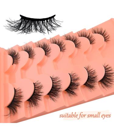 7 Pairs Fluffy Half Eyelashes Cat Eye 15 mm Short Cat Eyes Artificial Eyelashes Natural Look 1/2 Corner False Eyelashes Set 3/4 Corner Eyelashes Reusable Lightweight Makeup Eyelashes (ZF05) 7p-HF-ZF05 - Buy Online on GoSupps.com