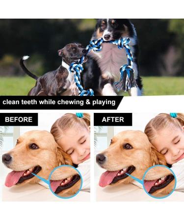 Luxmay Indestructible Dog Toys - Strong 92 cm Rope for Large & Medium Dogs - Durable Chew Toy with 5 Knots - Interactive Blue Dog Rope - Buy Online on GoSupps.com